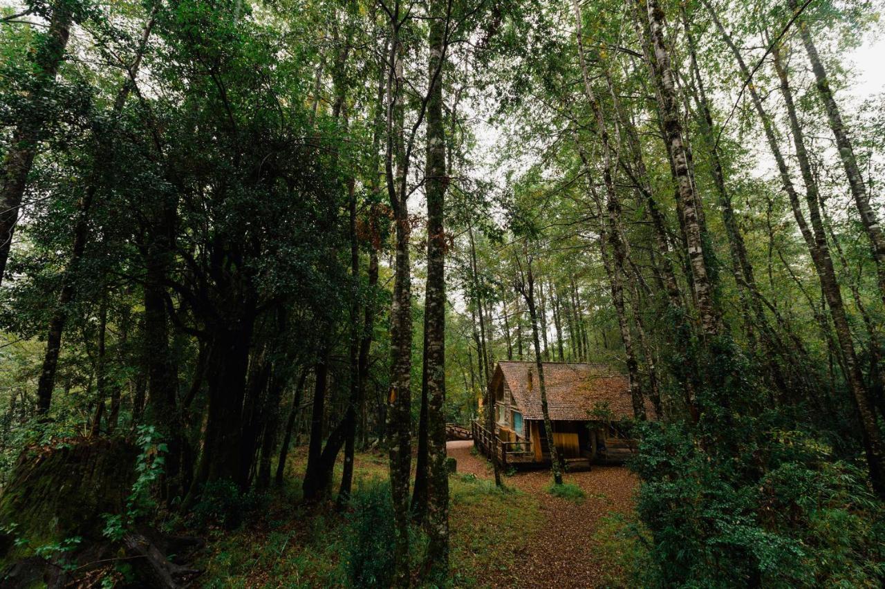 Huilo Huilo Cabanas Del Bosque Puerto Fuy Zimmer foto